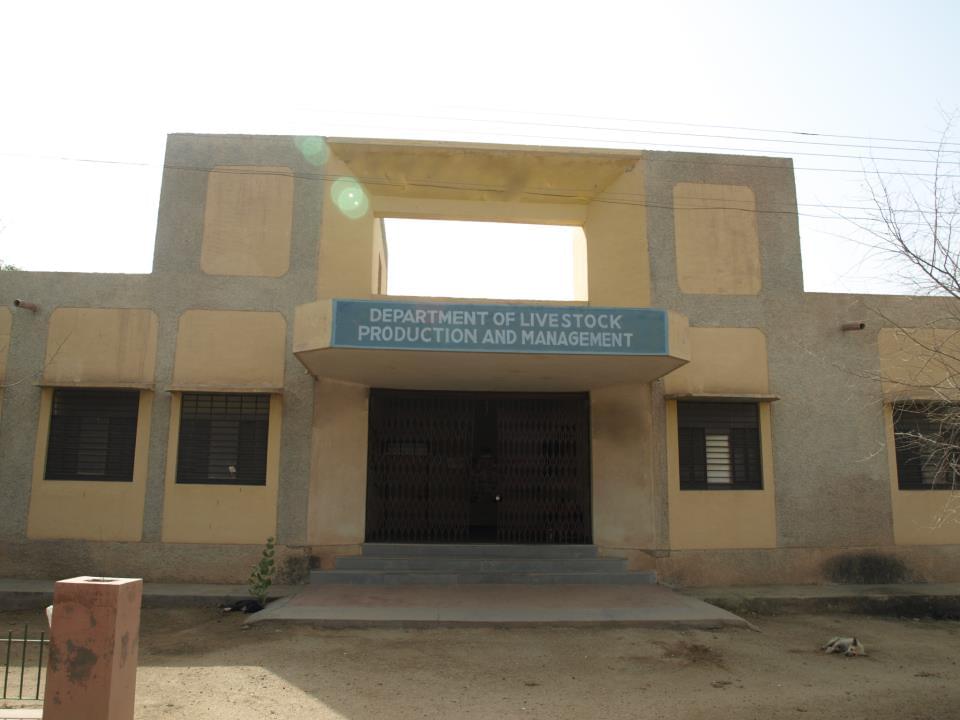 RAJUVAS Campus Images photo 13