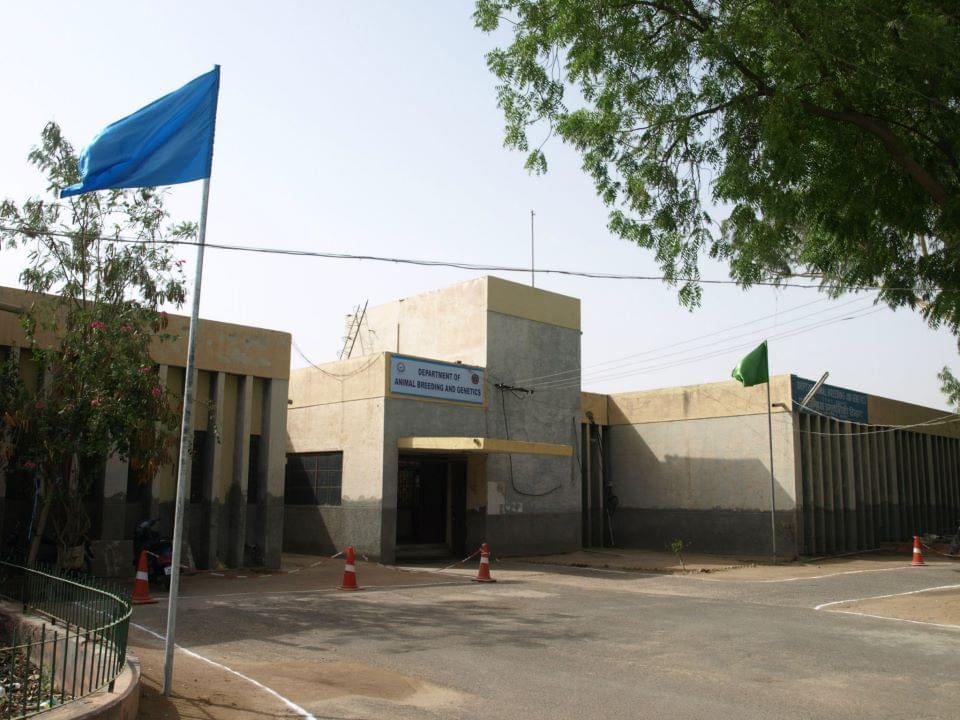 RAJUVAS Campus Images photo 14