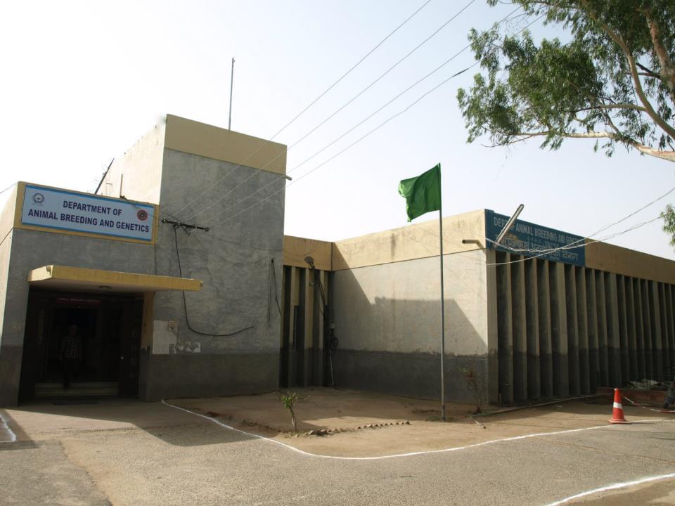 RAJUVAS Campus Images photo 15