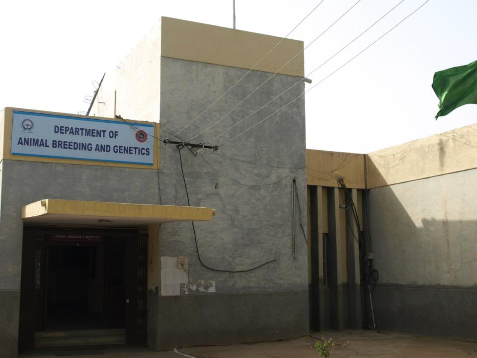 RAJUVAS Campus Images photo 16