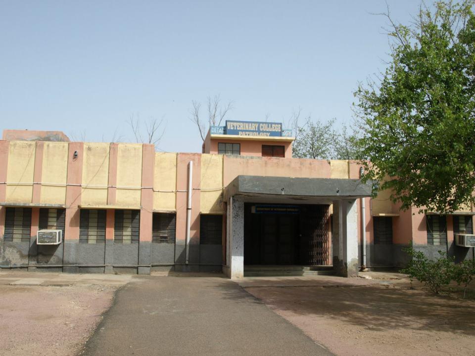 RAJUVAS Campus Images photo 17