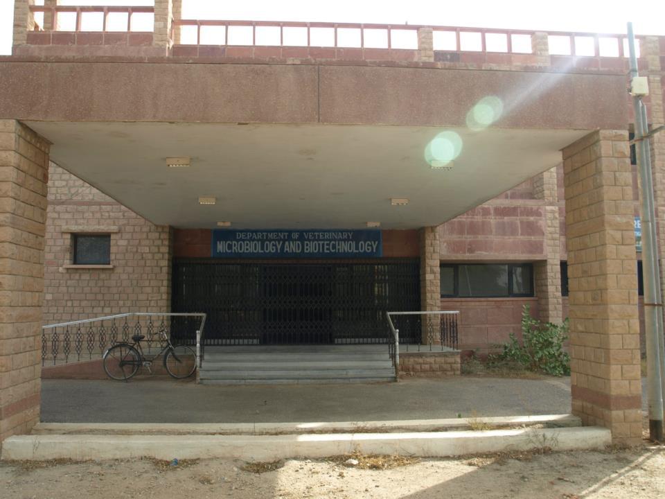 RAJUVAS Campus Images photo 1