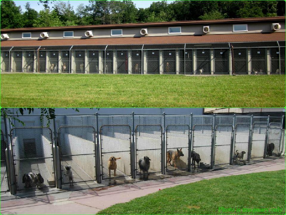 RAJUVAS Campus Images photo 8