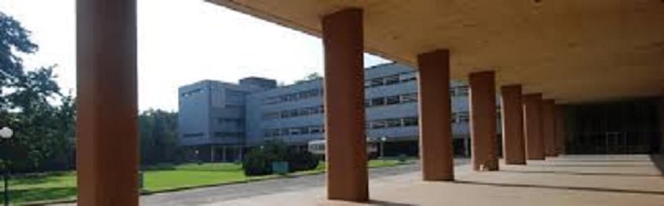 TIFR Campus photo 4