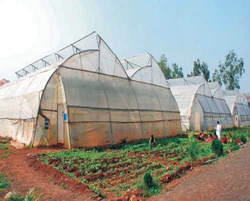MPKV Campus photo 3