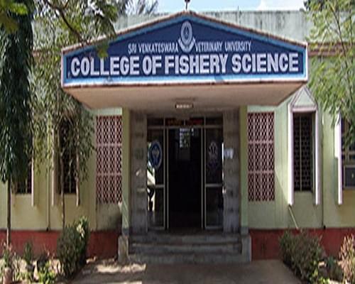 SVVU Academic Building photo 5