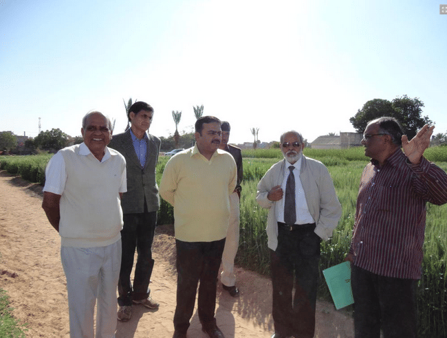 Agriculture University Jodhpur Agriculture photo 1