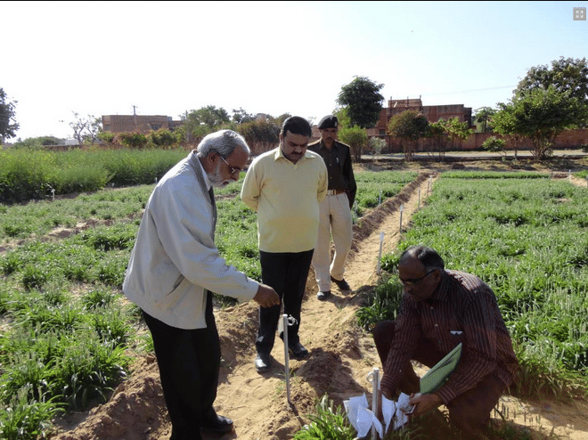 Agriculture University Jodhpur Agriculture photo 3