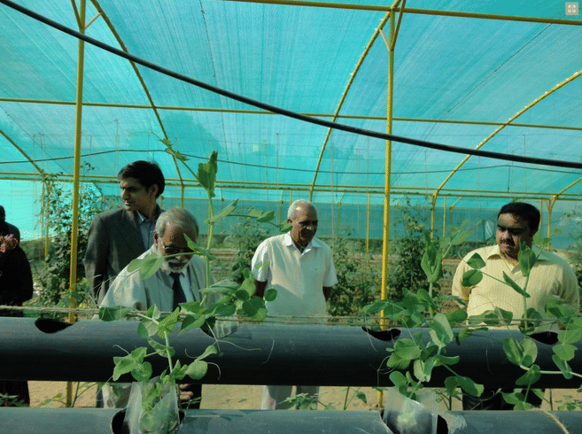 Agriculture University Jodhpur Agriculture photo 4