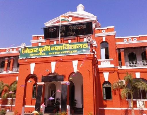 BAU Sabour Campus photo 2
