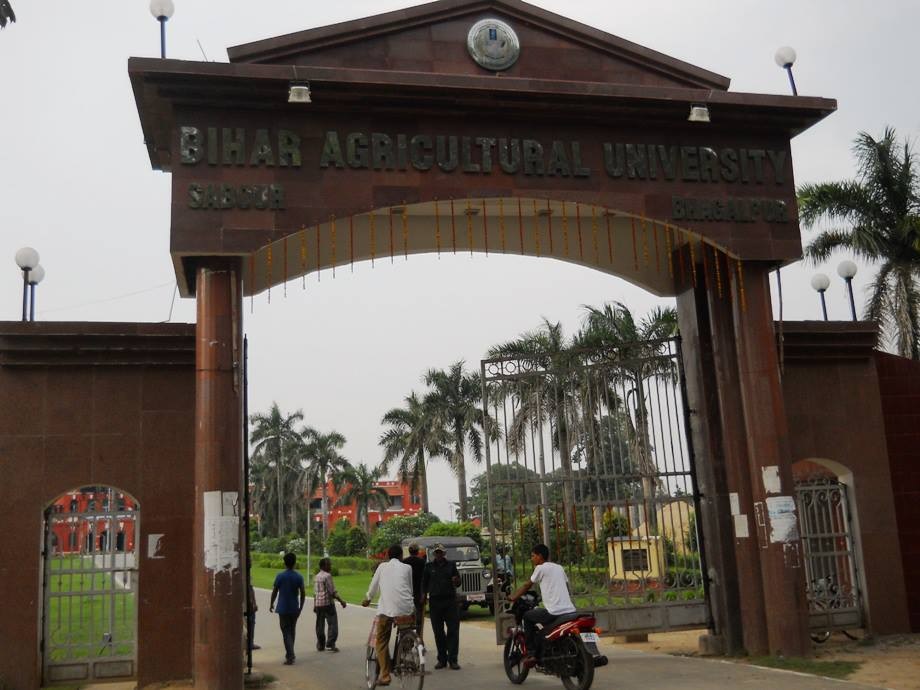 BAU Sabour Campus photo 3