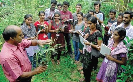 MCC Chennai Festivals photo 1