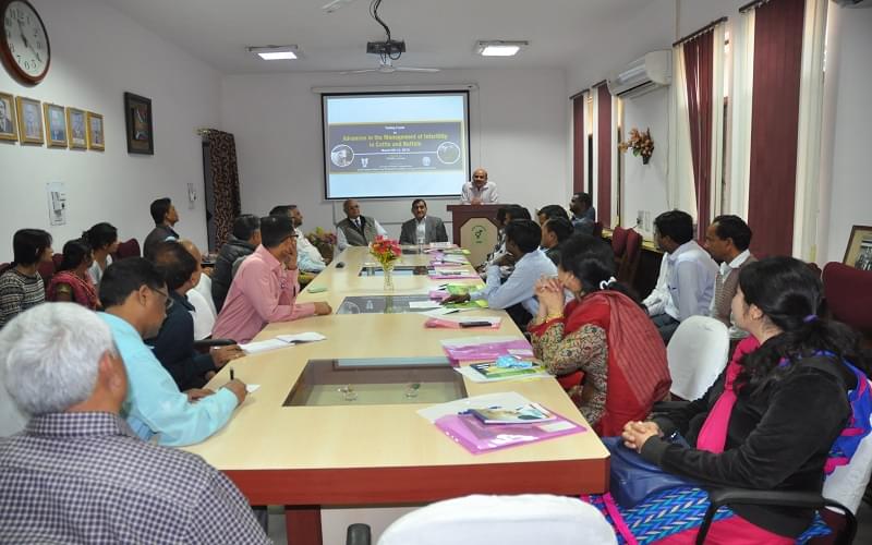 IVRI Activities photo 4