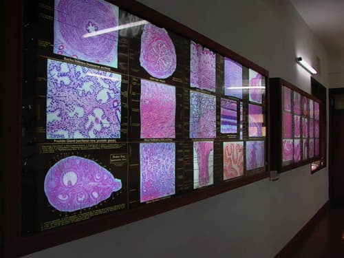 Yenepoya University Mangalore Campus photo 10