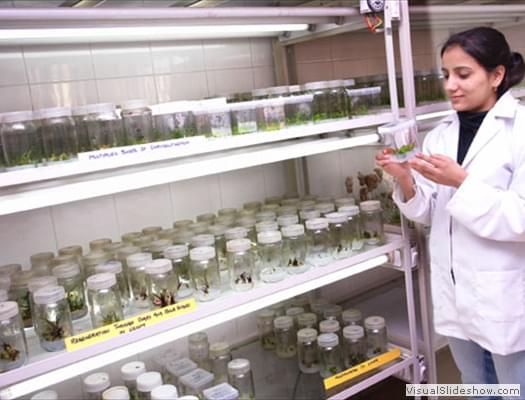 YSPUHF Labs and Classrooms photo 5