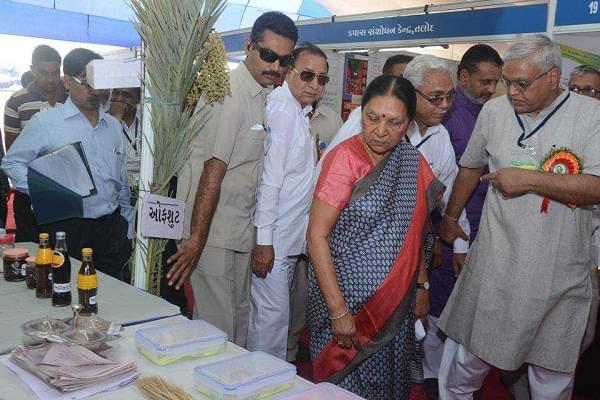 Sardarkrushinagar Dantiwada Agricultural University Palanpur Events and Activities photo 5