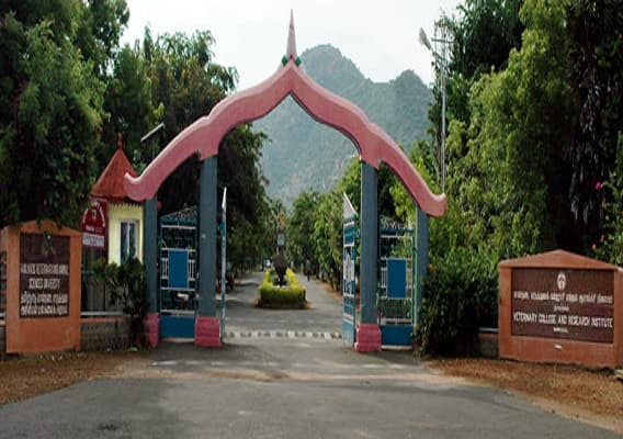 TANUVAS Academic Building photo 1