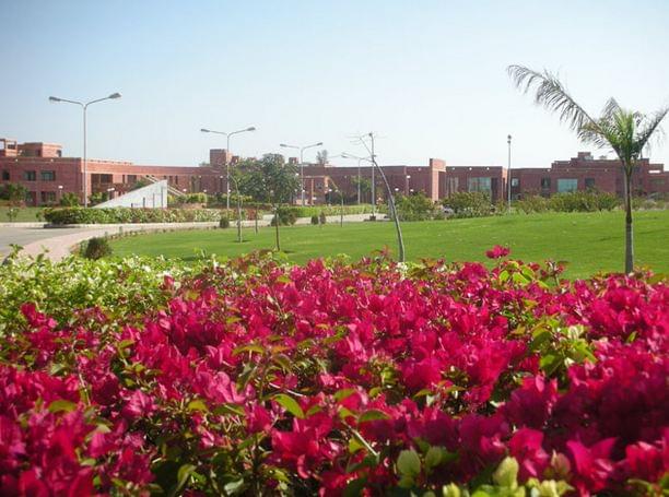 LNMIIT Campus photo 11