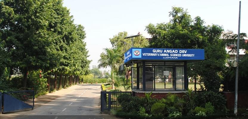 GADVASU Academic Building photo 7