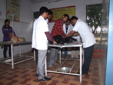 Nagpur Veterinary College Laboratory photo 2