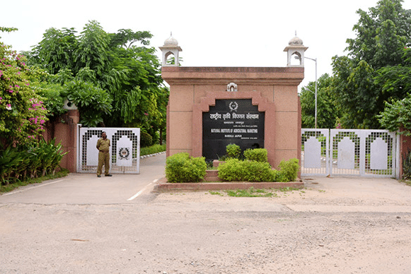 Chaudhary Charan Singh National Institute of Agricultural Marketing Jaipur Academic Building photo 1
