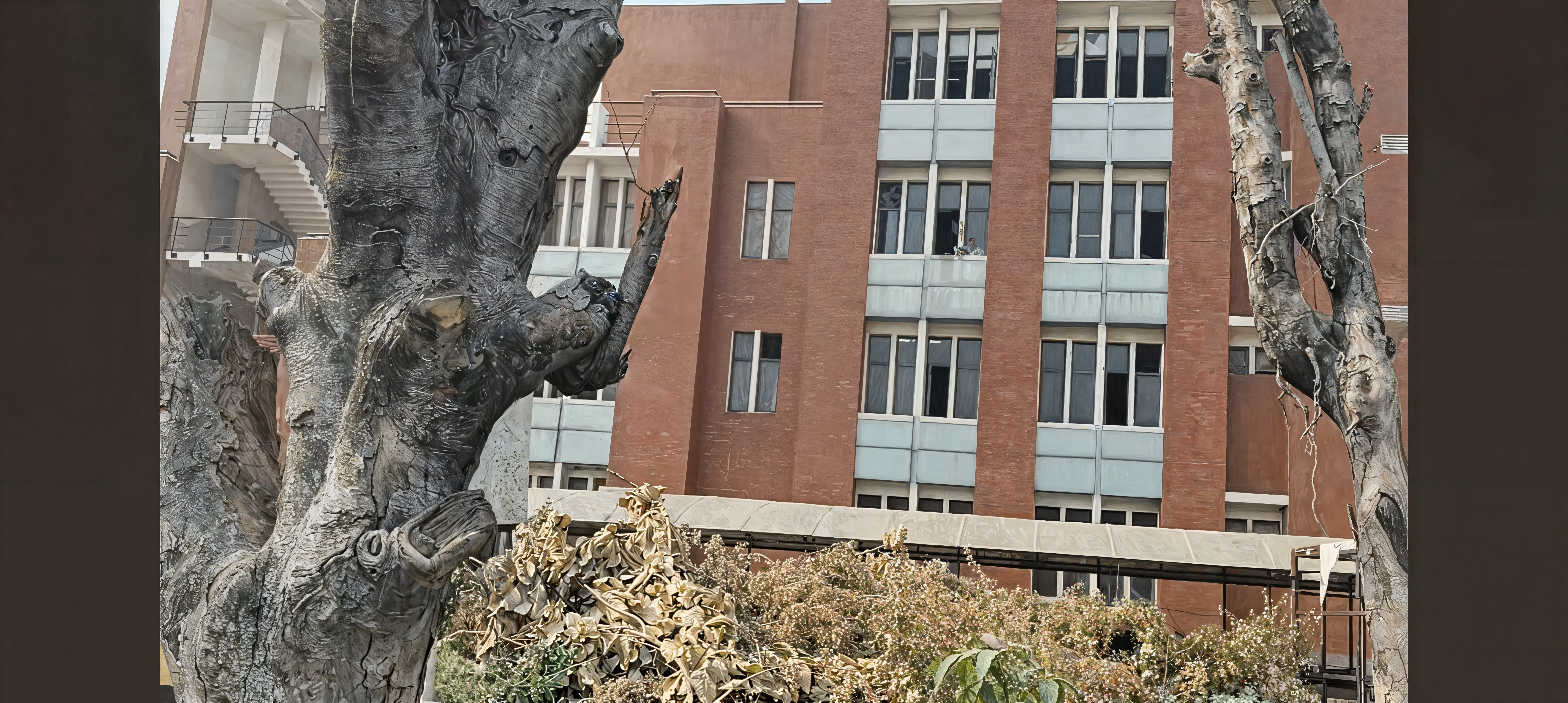 ADGIPS campus photo 6