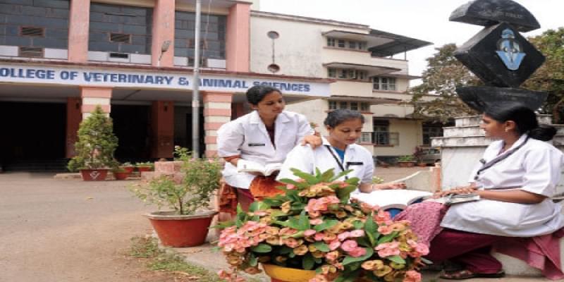 KVASU, College of Veterinary and Animal Sciences Mannuthy Campus photo 3