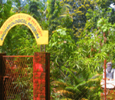 MES Kalladi College Mannarkad Campus photo 1
