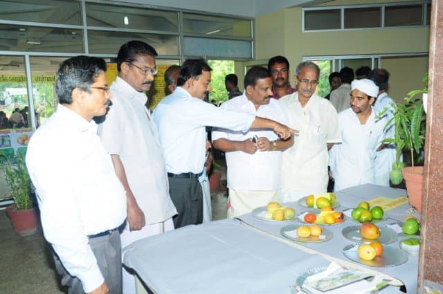Kerala Agricultural University, College of Agriculture Padanakkad Kasaragod Mango Fest photo 5