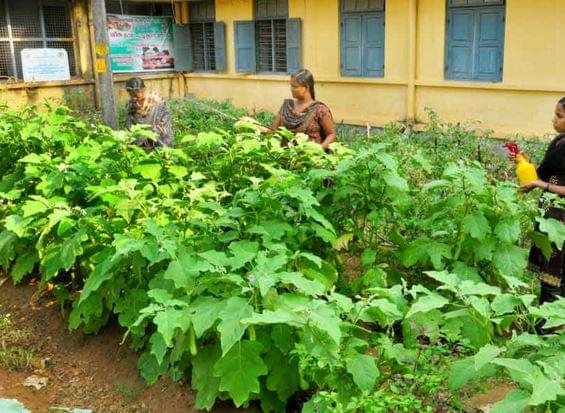 Government College Chittur hostel photo 1