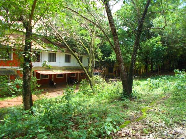 KKTM Government College Kodungallur Campus photo 4