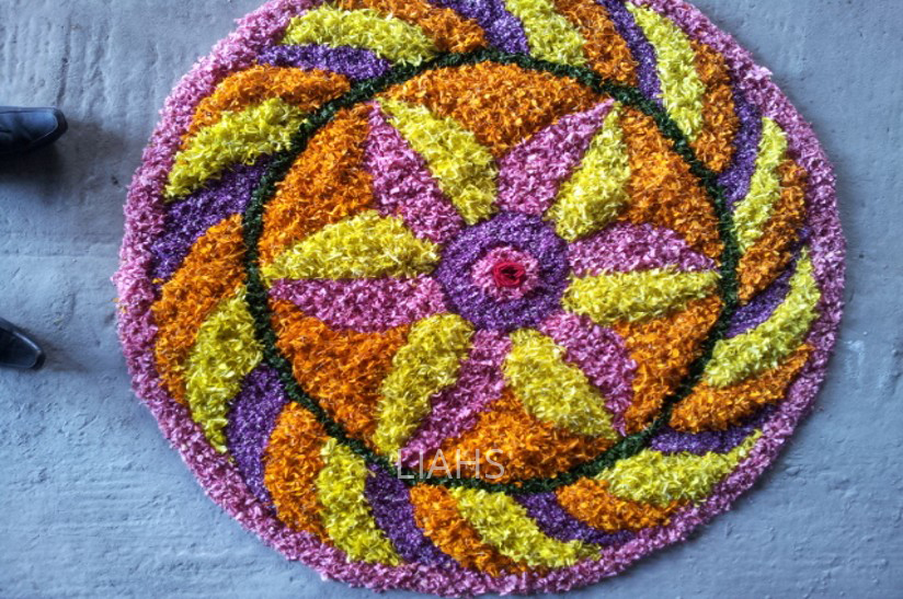 Lourde Institute of Allied Health Sciences Kannur Events photo 7