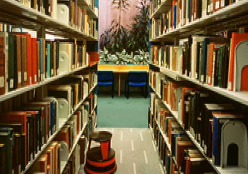 M.E.C.F College of Teacher Education Peringathur Kannur Facilities photo 1