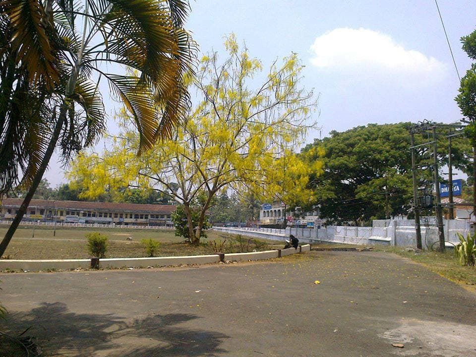 NSS Hindu College Changanacherry NSSHC photo 10