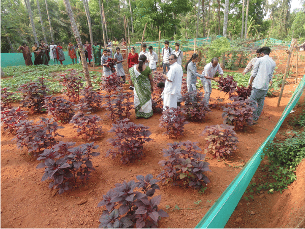 CSI Christian Muller Women's College Vadakara Extra Curriculars photo 2