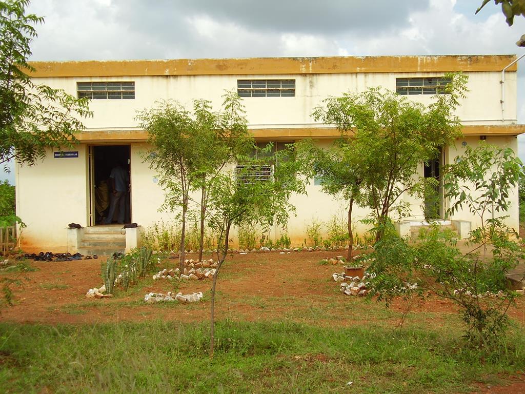 Arignar Anna Government Arts College Musiri Manapparai Academic Building photo 19