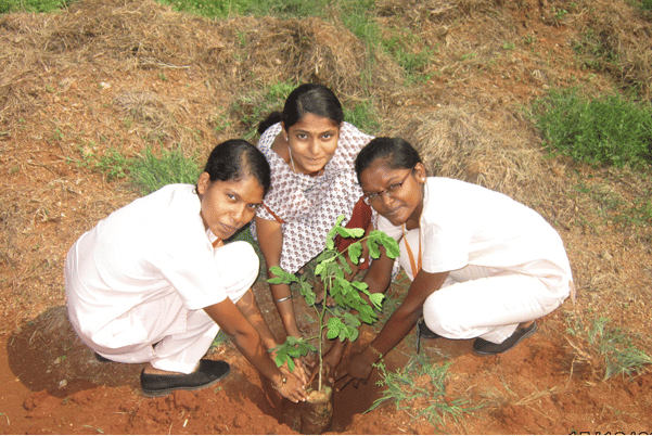 Apollo College of Nursing Madurai Extra Curriculars photo 5