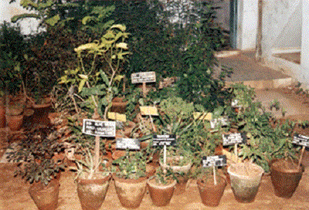 Fathima College Of Pharmacy Kadayanallur Tirunelveli Gallery photo 10