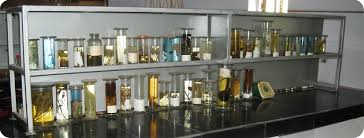 White Memorial College of Physiotherapy Attoor Laboratory photo 1