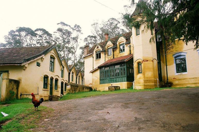Government Arts College Ooty Campus photo 3