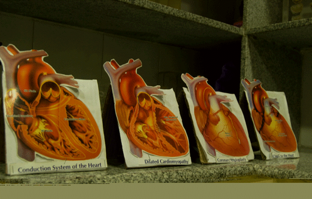 International Centre For CardioThoracic and Vascular Diseases Chennai Laboratories photo 10