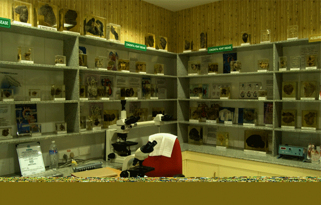 International Centre For CardioThoracic and Vascular Diseases Chennai Laboratories photo 14