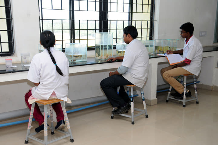 Sri Venkateswara Dental College And Hospital Chennai Laboratories photo 10
