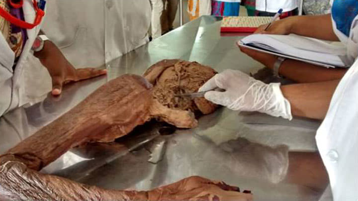 Sri Venkateswara Dental College And Hospital Chennai Laboratories photo 14