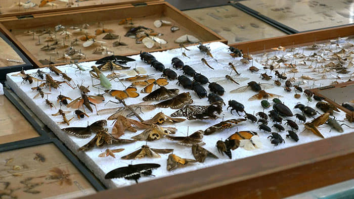 Women's Christian College Nagercoil Infrastructure photo 21