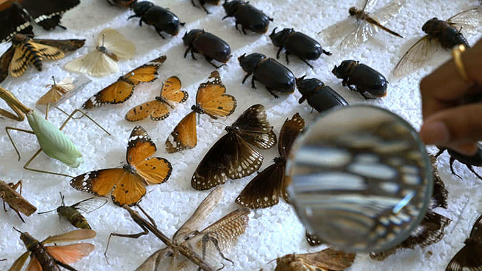 Women's Christian College Nagercoil Infrastructure photo 22