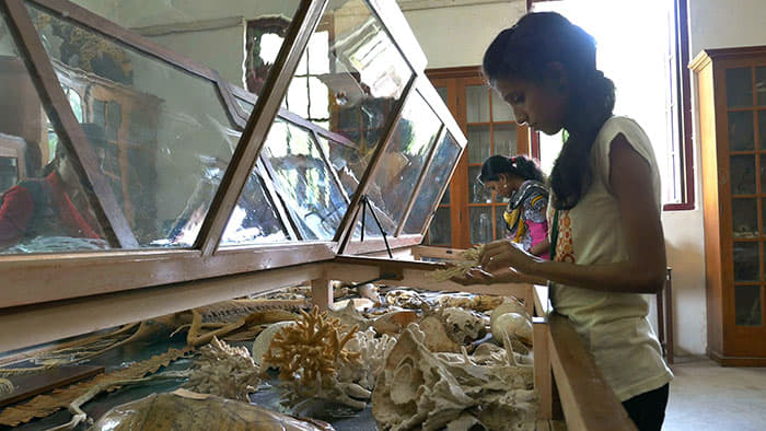 Women's Christian College Nagercoil Infrastructure photo 23