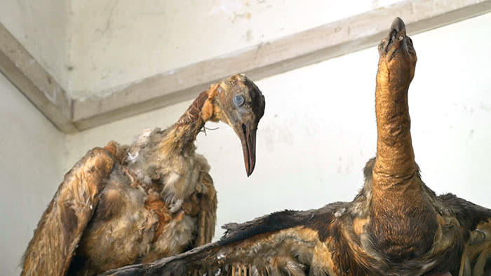 Women's Christian College Nagercoil Infrastructure photo 24