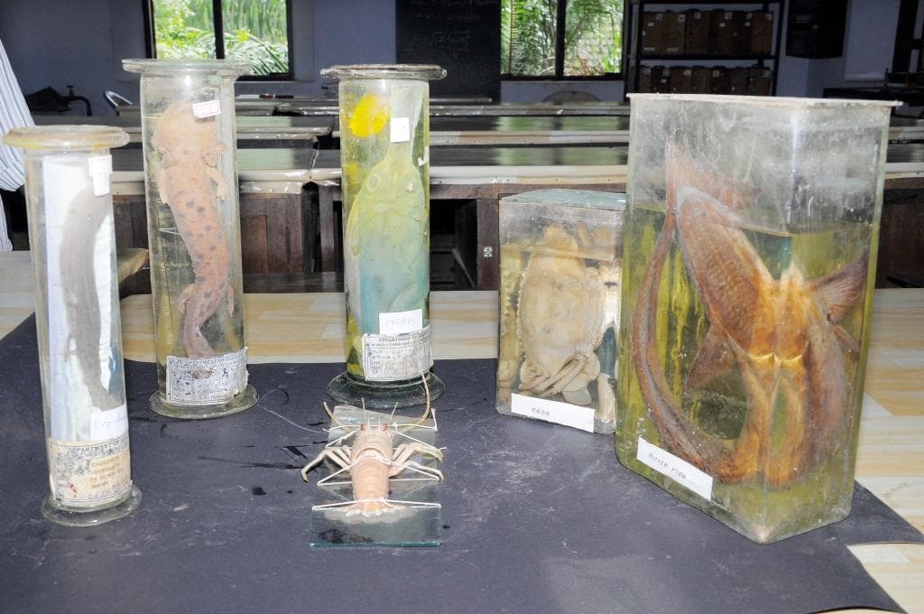 Women's Christian College Nagercoil Infrastructure photo 28