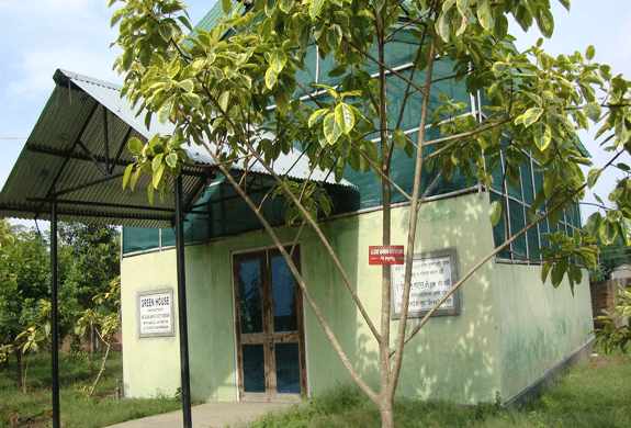 Morigaon College Marigaon Campus photo 3